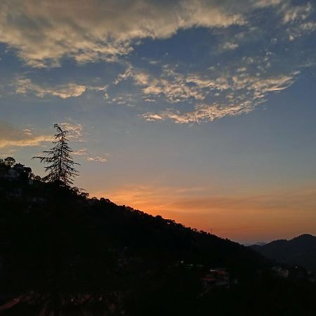 Sunrise View Homestay Kasauli Esterno foto