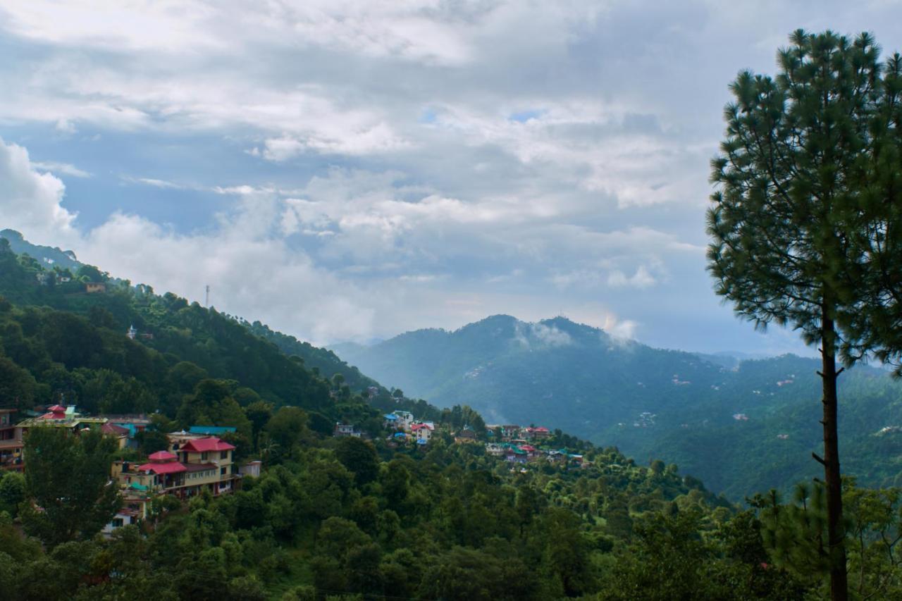 Sunrise View Homestay Kasauli Esterno foto